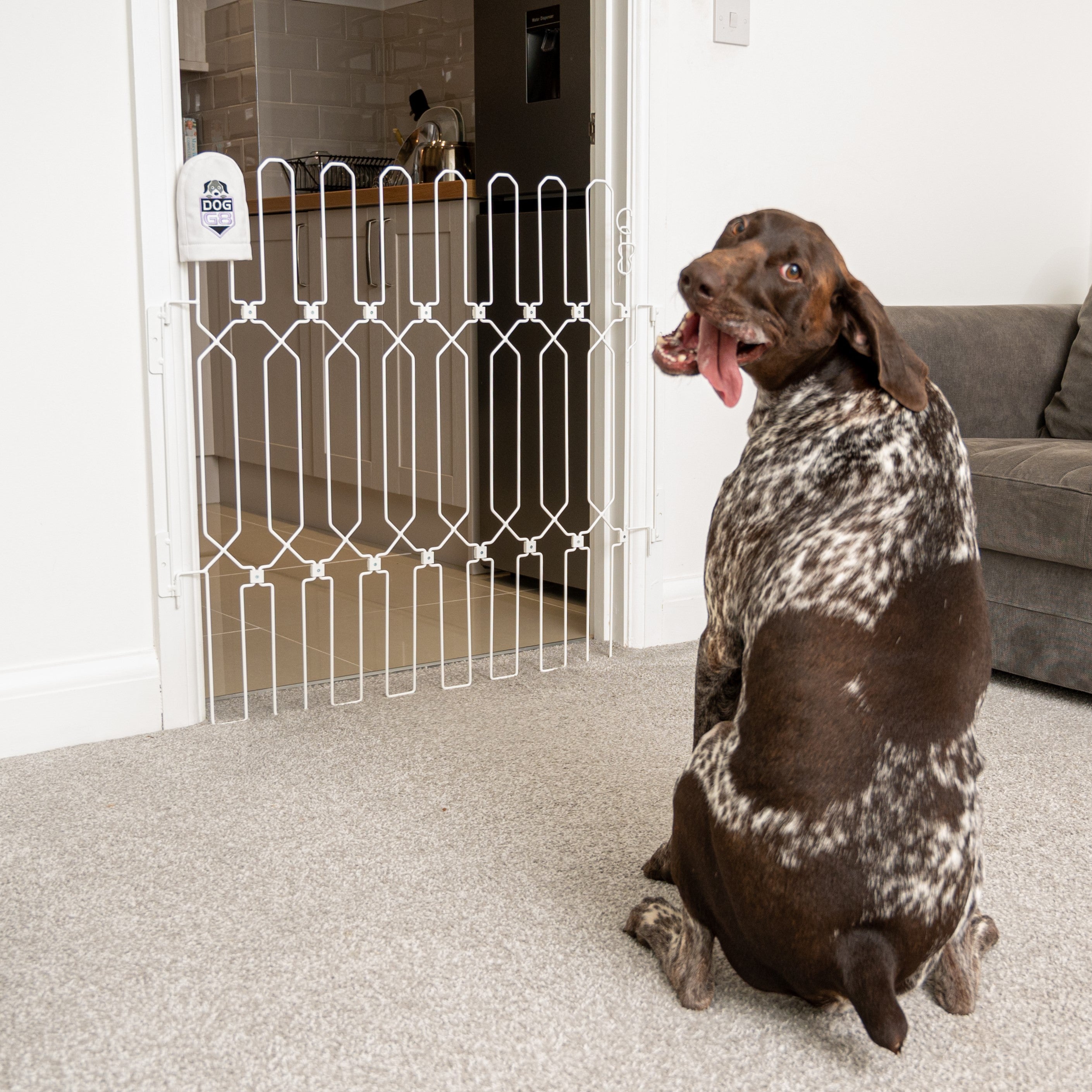 Full door dog gate best sale