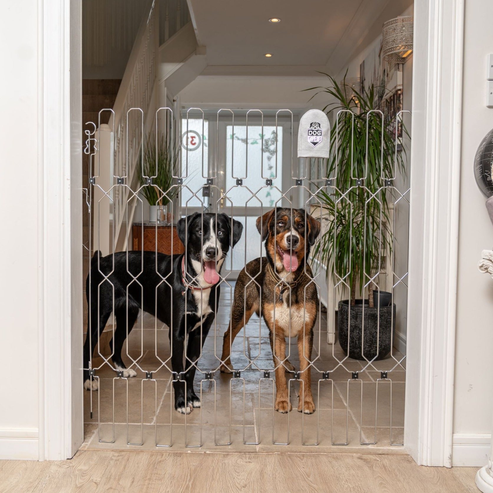 Extra wide outlet dog gate