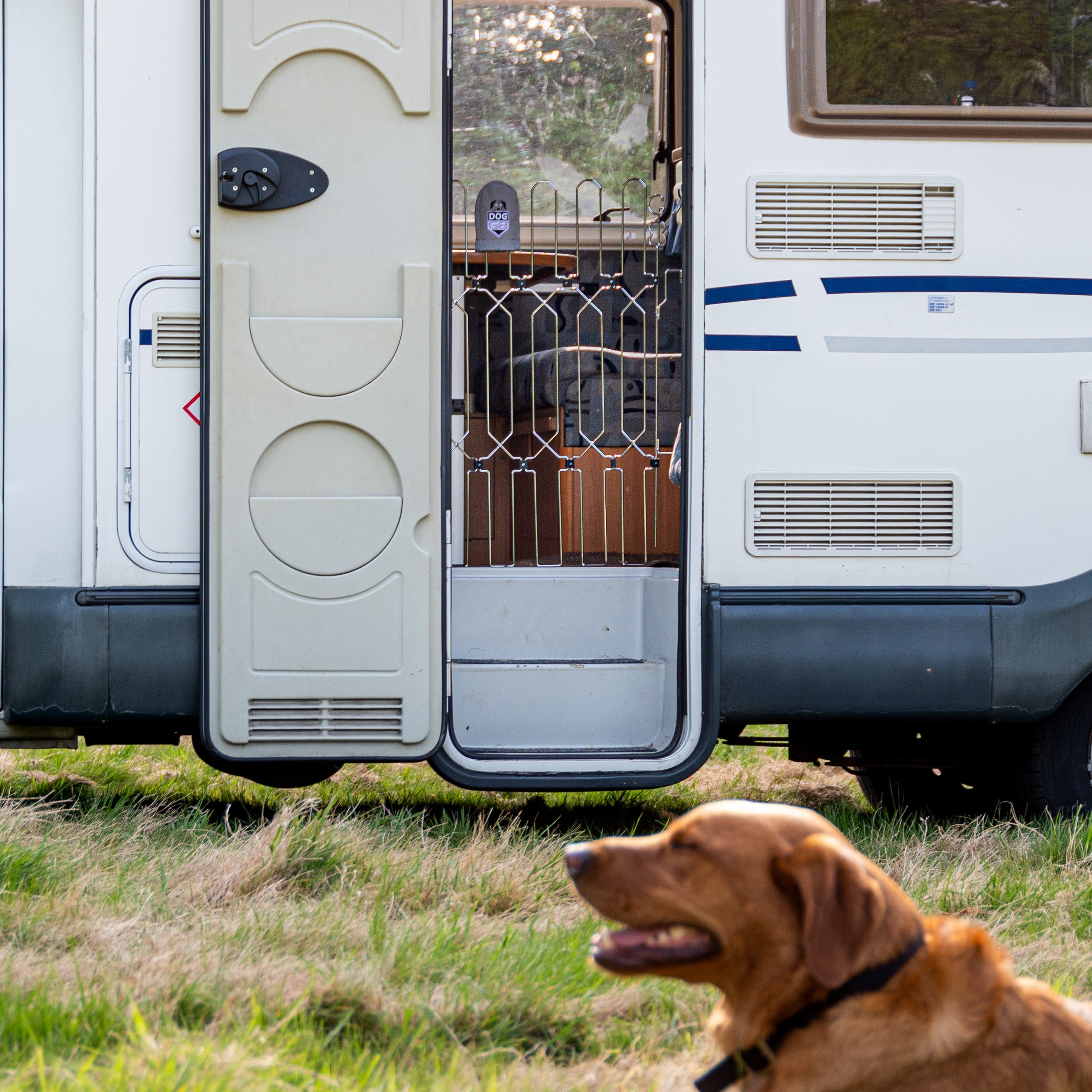 Caravan fashion safety gate